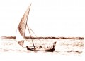 Dhow with Coral Cargo